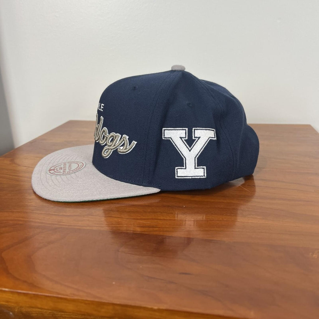 Yale Bulldogs Snapback Hat Mitchell & Ness Navy Gray NWT NCAA Cap